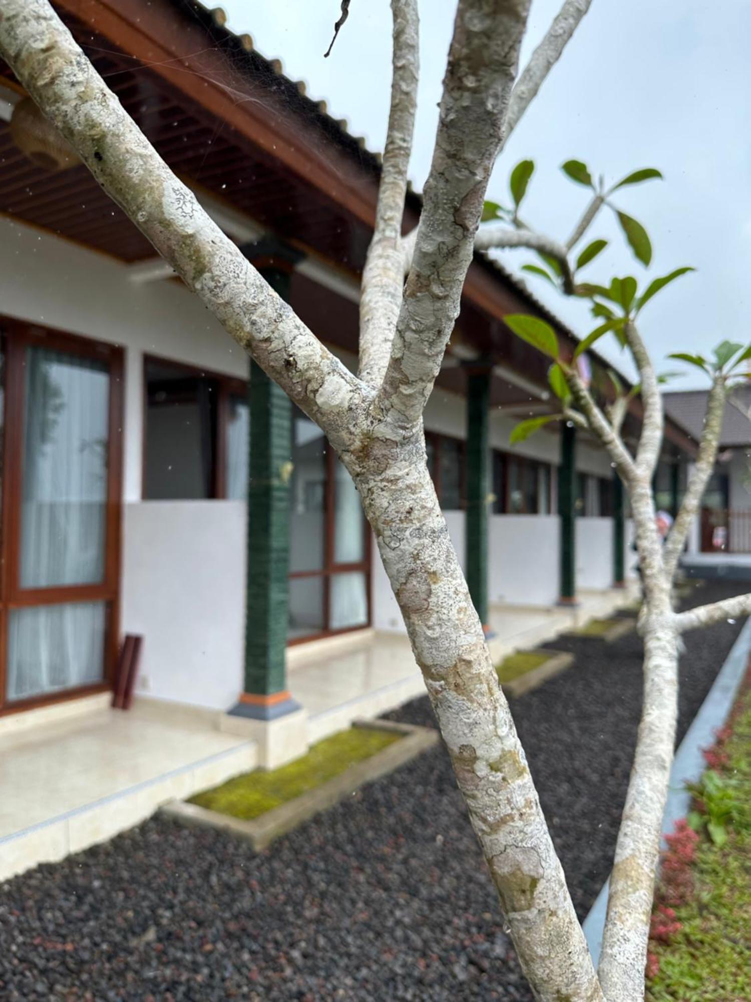 Apartmán Bali Basuki Retreat Center Besakih Exteriér fotografie